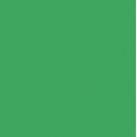 Falcon Eyes achtergrondpapier 46 Chroma Gr...